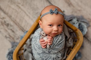 Image of Piper / blue