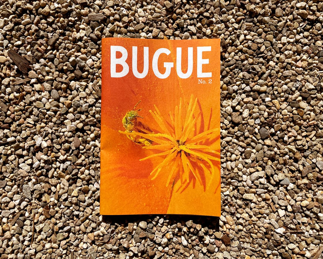 Image of BUGUE - Issue No. 2