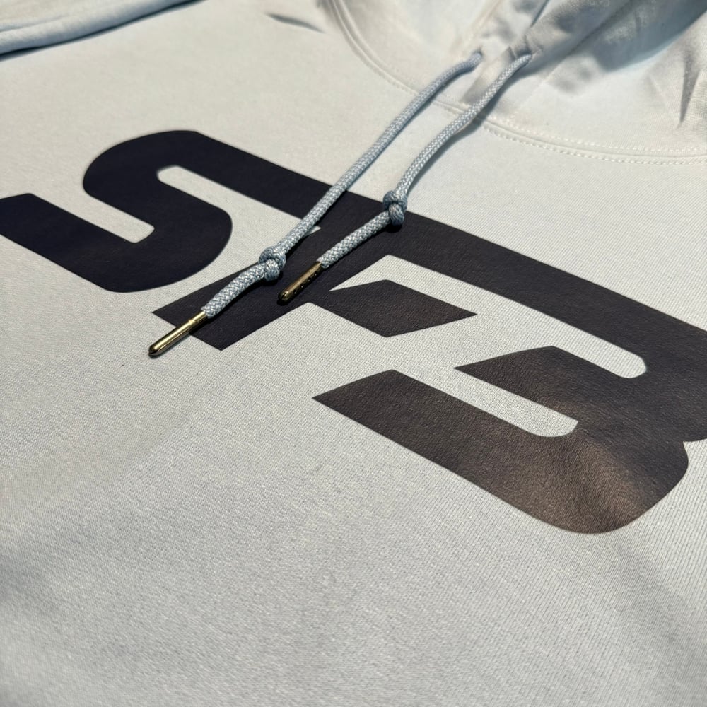 Navy On Light Blue SF3 Hoodie/Crewneck