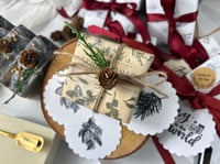 Image 10 of Apple Cinnamon Shea Butter Soap 