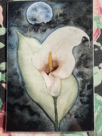 Image 2 of Watercolor Alcatraz flor sticker