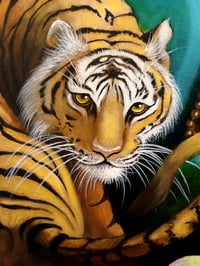 Image 5 of Big cat