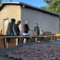 Image 2 of Äthiopien - Hailu Bekete - Natural Kurume, Woleshu - Espresso