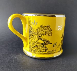 Harlequinade windmill and bower fairy canary lustre mug