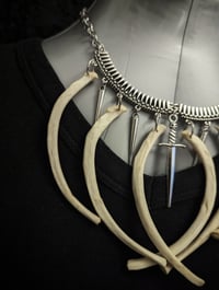 Image 4 of Rabbit Ribs Necklace : Animal bone, Vulture culture Taxidermy