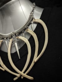 Image 5 of Rabbit Ribs Necklace : Animal bone, Vulture culture Taxidermy