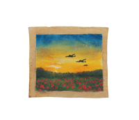 In Remembrance We Fly