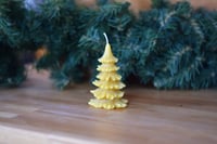 Image 1 of Norway Spruce Tree Candle