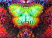Image 1 of MothQueen