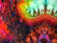 Image 3 of MothQueen