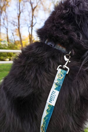 Image of Payette Dog Leash