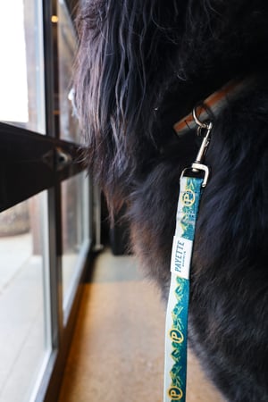 Image of Payette Dog Leash