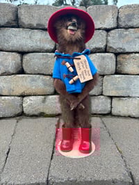 Image 2 of Paddington Mink 