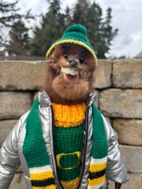 Image 2 of Oregon Ducks number one fan 