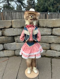 Image 1 of Gingham Cowgirl 