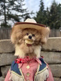 Image 2 of Gingham Cowgirl 