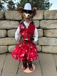 Image 1 of Rodeo Queen 