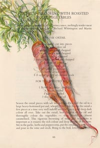 Image 1 of FEED SERIES | CARROT