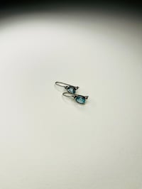 Refurbished silver earrings