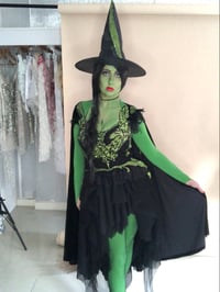 Image 3 of Wicked Witch Costume