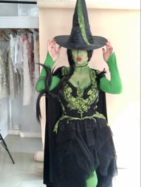 Image 5 of Wicked Witch Costume