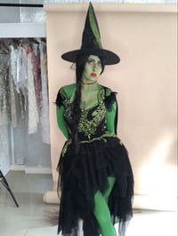 Image 4 of Wicked Witch Costume
