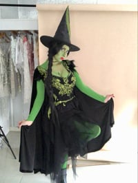 Image 2 of Wicked Witch Costume