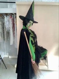 Image 7 of Wicked Witch Costume