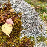 Image 5 of Finding Your Colour Voice - PEAK DISTRICT - Aug 2025