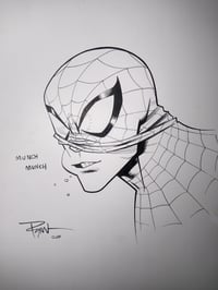 Image 1 of Ryan Ottley spider-man paper test 11x17 #1