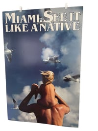 Image 2 of Miami See it Like A Native