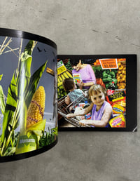 Image 13 of The Political Art of David Dees Volume One 2006 - 2013 - David Dees [Signed]