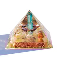 Image 5 of Large:  Dragonfly - 1