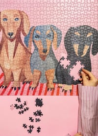 Image 2 of Dachshunds - jigsaw puzzle game 