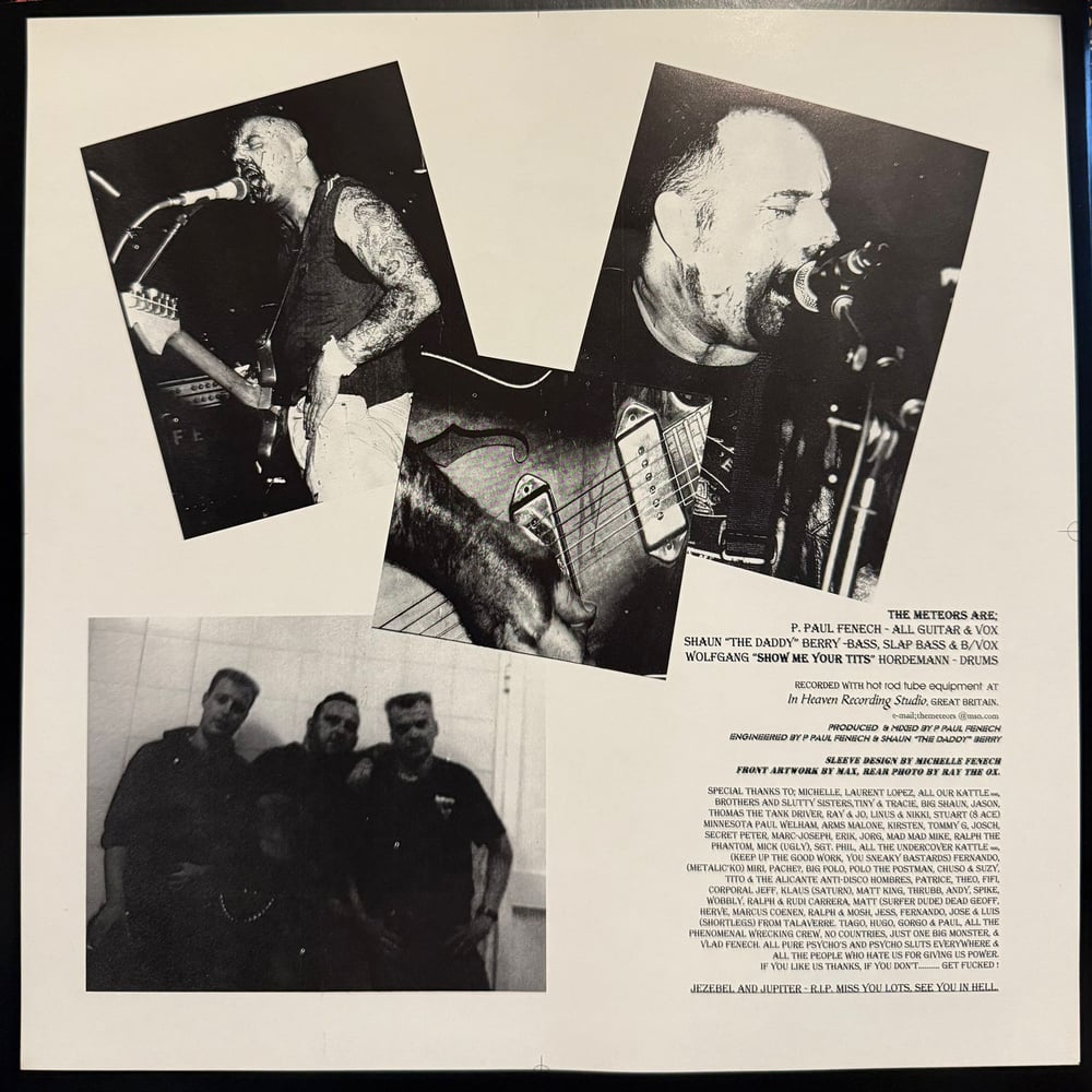 THE METEORS - BASTARD SONS OF A ROCK'N'ROLL DEVIL (PIC DISC)
