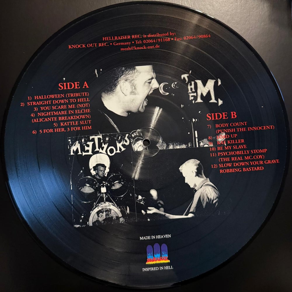 THE METEORS - BASTARD SONS OF A ROCK'N'ROLL DEVIL (PIC DISC)