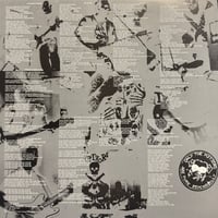 Image 5 of THE METEORS - BASTARD SONS OF A ROCK'N'ROLL DEVIL (PIC DISC)
