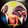 FRANTIC FLINTSTONES - A NIGHTMARE ON NERVOUS (PIC DISC) LP