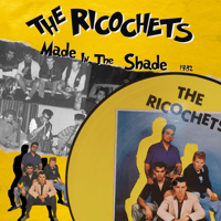 Image 1 of THE RICOCHETS - MADE IN THE SHADE (PIC DISC) LP + LTD POSTER