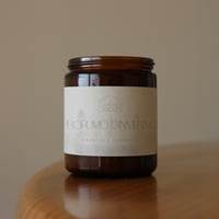 Image 2 of Profumo d'Inverno – Vetro