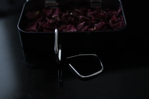 Image of Hoop Silver Earrings