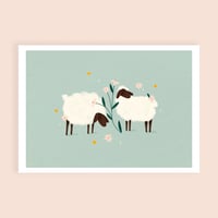 Affiche - Les moutons