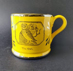 Owl and robin canary lustre mug