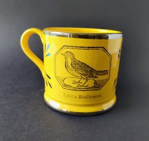 Owl and robin canary lustre mug