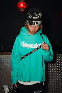 Image 2 of Mint Homesick Hoodie