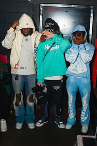 Image 4 of Mint Homesick Hoodie