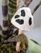 Image of Black and White Spotted Glow in the Dark Ceramic Mushroom Plant Stake