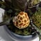 Image of Yellow and Brown Spotted Ceramic Mushroom Plant Stake