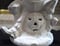 Image of Ceramic Bisque Scarecrow on Pumpkin Ready to Paint