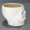 Image of Ceramic Bisque Skull Plant or Pencil Holder Ready to Paint